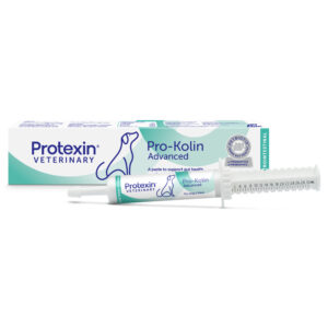 Pro-Kolin Advanced Dogs 30ml Protexin