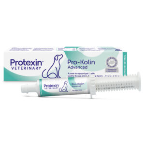Pro-Kolin Advanced Dogs 60ml Protexin