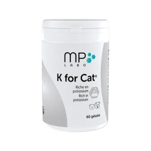 K for Cat 60 kaps. MP LABO